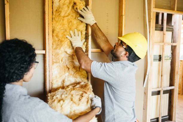 Eco-Friendly or Green Insulation Solutions in Colfax, WI